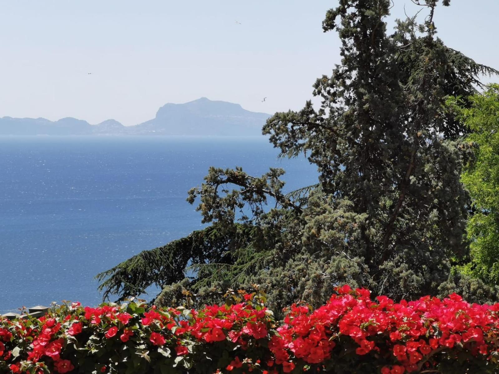 Vomero Guest House Napoli Bagian luar foto